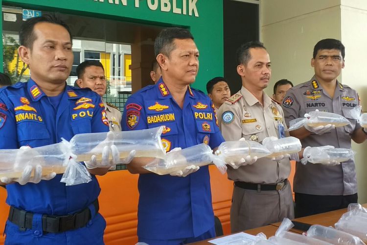 Dit Polairud Polda Riau dan Karantina Ikan Pekanbaru melihatkan benih lobster yang diamankan dari pelaku penyelundup, Jumat (24/5/2019). 