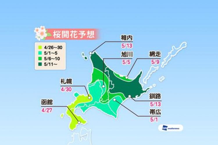 Prediksi sakura mekar di area Hokkaido (Prediksi diumumkan tanggal 16 Januari 2019/ Weather News). 