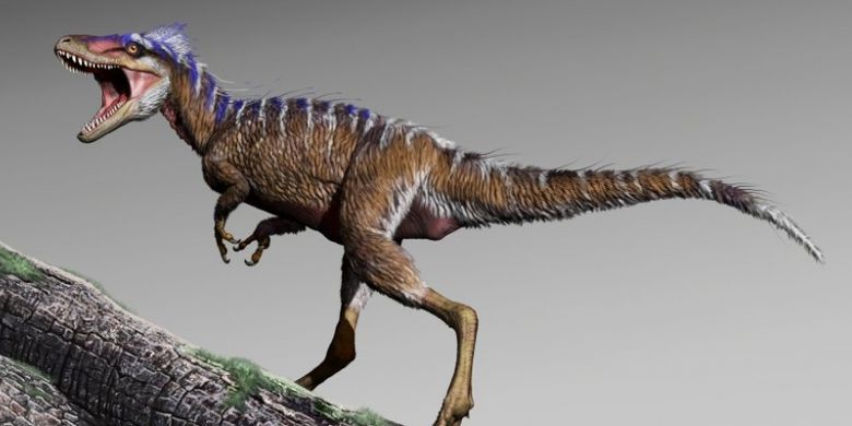 Spesies baru tyrannosaur yang mengungkap t-rex punya nenek moyang berukuran kecil.
