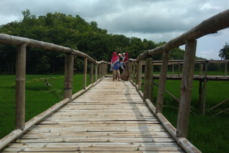 Pengunjung melintas Jembatan Jelajah Sawah Pertanian Bawongan, Dusun Sukorame, Desa Mangunan, Kecamatan Dlingo, Bantul, Yogyakarta