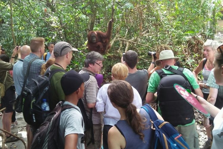 Wisatawan mancanegara memadati Taman Nasional Tanjung Puting, Kalimantan Tengah, pada saat musim libur, Juli 2017.