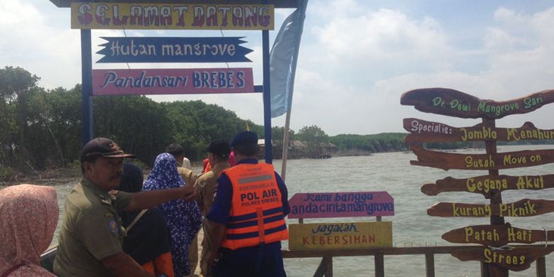 Wisata susur mangrove di Desa Kaliwingi, Kecamatan Brebes, Kabupaten Brebes, Jawa Tengah.