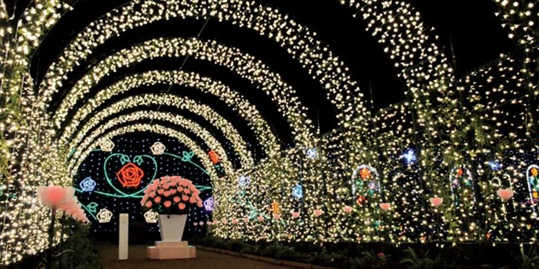 Ashikaga Flower Park terletak di Prefektur Tochigi, Jepang. Pada 20 Oktober 2017 taman ini dinobatkan sebagai salah satu dari tiga lokasi iluminasi terbesar di Jepang pada acara Yakei Summit 2017 di Ashikaga.