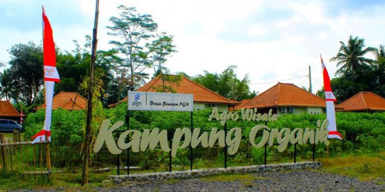 Wisata Kampoeng Organik di Dusun Bumen Desa Karangrejo, Borobudur, Jawa Tengah.