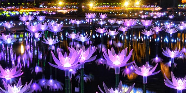 Ashikaga Flower Park terletak di Prefektur Tochigi, Jepang. Pada 20 Oktober 2017 taman ini dinobatkan sebagai salah satu dari tiga lokasi iluminasi terbesar di Jepang pada acara Yakei Summit 2017 di Ashikaga.