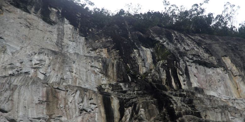 Permukaan tebing Puruk Sandukui, Desa Harowu, Kecamatan Miri Manasa, Kabupaten Gunung Mas, Kalimantan Tengah dilihat dari 70 meter dari kaki tebing sisi timur laut. Dapat terlihat beberapa jalur potensial untuk pemanjatan.