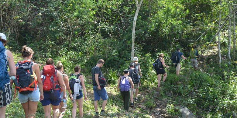 Turis melintasi kawasan hutan Mbeling dengan trekking. Turis sangat terkesan dengan keaslian alam dan hutan di kawasan Mbeling, Kecamatan Borong, Manggarai Timur,Flores, NTT, Senin (14/8/2017). 