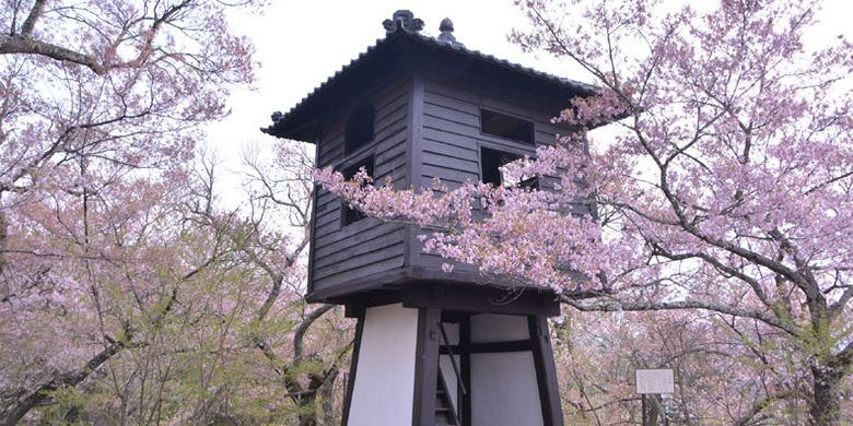 Taman Takatojoshi Koen di daerah Shinshu, Prefektur Nagano, Jepang, merupakan sebuah taman yang terkenal sebagai tempat melihat bunga sakura. Setiap tahun, sekitar 200.000 wisman datang ke taman ini.