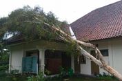 Hujan dan Angin Kencang di Klaten, Rumah Warga Rusak dan Pohon Roboh