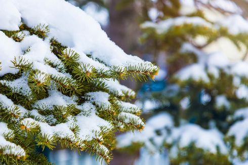 Xinjiang Jadi Pesaing Kota Terdingin di Dunia, Suhu Mencapai Minus 52,3 Celsius