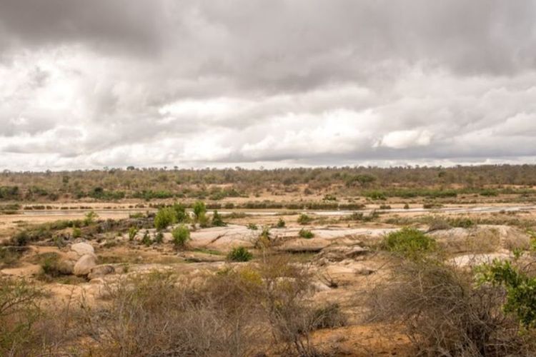 BPBD DIY Tak Punya Anggaran Khusus Kekeringan 2026, Bantul dan Gunungkidul Paling Rentan