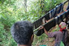3 Orang Tewas di Lubang Tambang Emas Tradisional di Bengkulu, Polisi Investigasi Penyebabnya