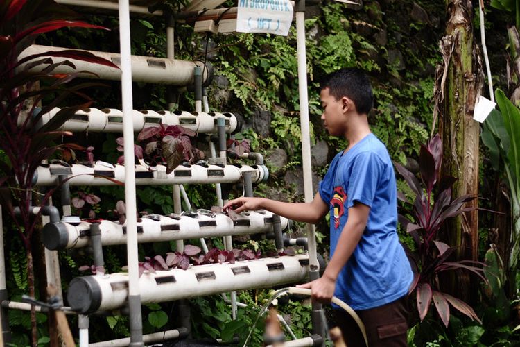 Aktivitas Berkebun Siswa SMART Ekselensia Dompet Dhuafa.