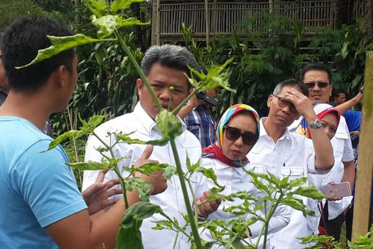 Sejumlah Komisioner KPPU saat sidak petani cabe di Desa Ngantru, Kecamatan Ngantang, Kabupaten Malang, Senin (30/1/2017)