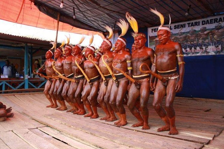 Nampak terlihat para pria menggunakan koteka dan mahkota cenderawasih melakukan tarian dalam kegiatan Festival Budaya Suku Ngalum di Kabupaten Pegunungan Bintang, Papua, tahun 2014 yang silam.