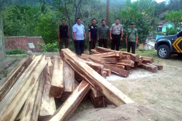Puluhan batang kayu sonokeling yang disita petugas Polsek Limau, Tanggamus pekan lalu. Diduga kayu itu hasil illegal logging dari hutan lindung register 28 Tanggamus. (Foto: Humas Polres Tanggamus)