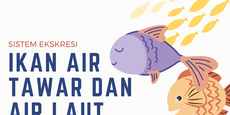 51 Salah Satu Perbedaan Ginjal Ikan Air Laut Dengan Ikan Air Tawar Adalah Gratis Terbaru