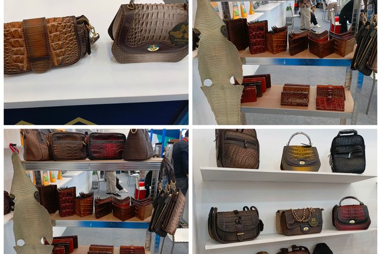 Produk Shandra Galery, Kulit Buaya