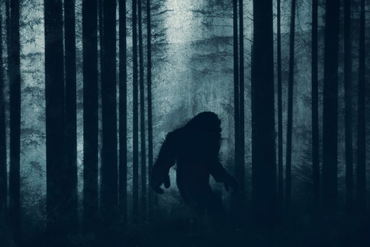 Ilustrasi Bigfoot. Ilmuwan membuktikan bahwa makhluk yang menjadi mitos dan legenda di Amerika, Bigfoot, adalah beruang hitam Amerika.