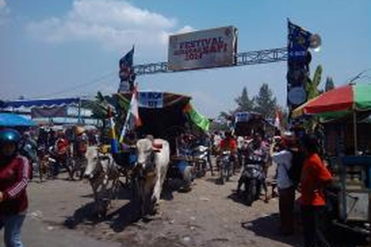 Para bajingan saat membawa gerobak sapi keluar dari area festival di Sleman, DIY, Minggu (24/8/2014).