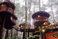 Kopeng Treetop Adventure Park: Harga Tiket, Jam Buka, dan Daya Tarik