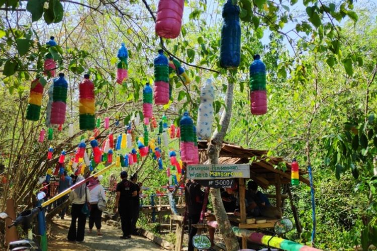 Wisata Hutan Mangrove Donggala, Sulawesi Tengah.