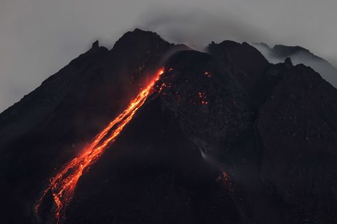 Dalam Sepekan, Gunung Merapi Keluarkan 13 Awan Panas dan 119 Guguran Lava