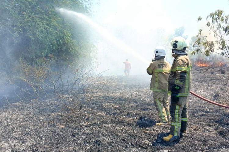Lahan Kosong 3,5 Hektar di Klaten Terbakar, Penyebab Belum Diketahui