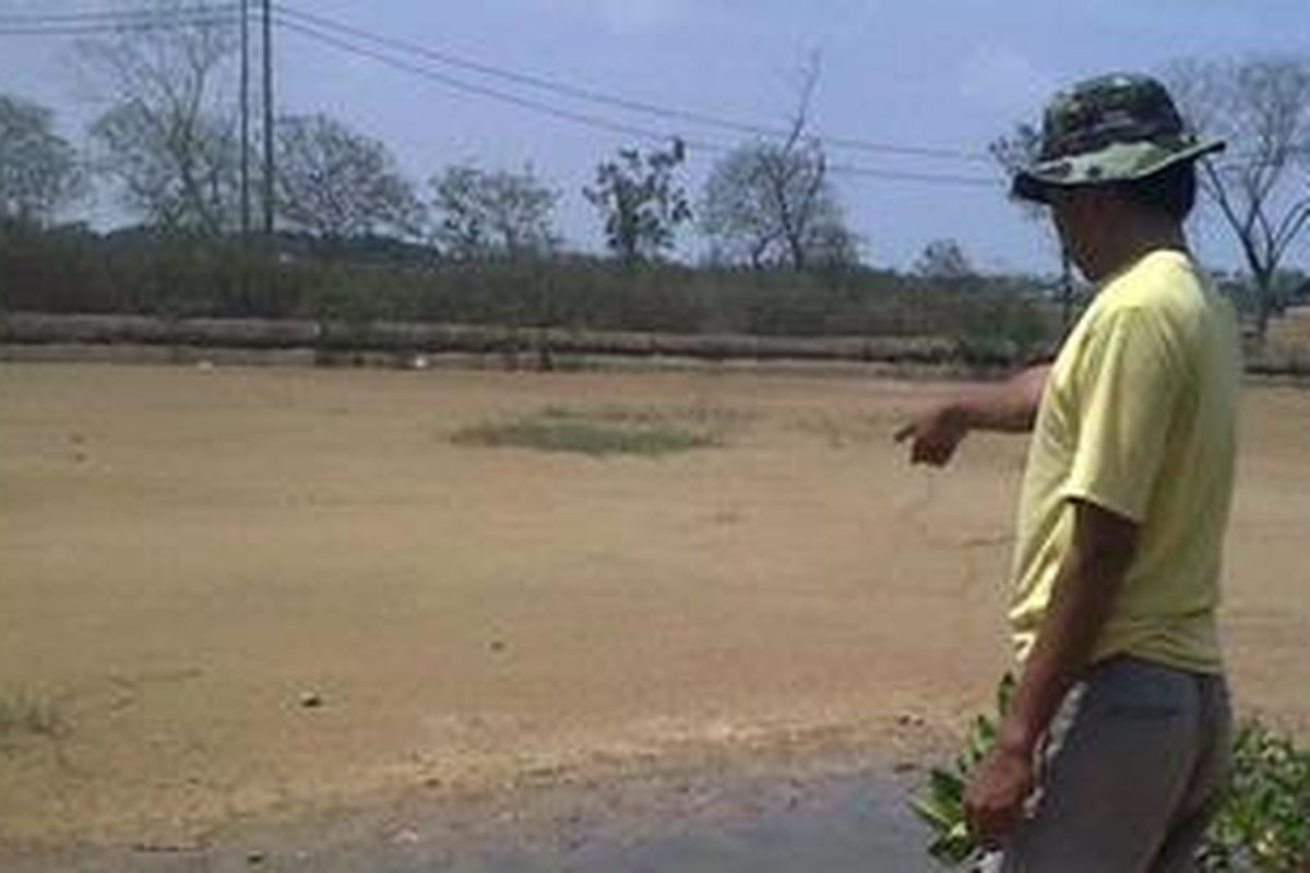 Buruh kuras atau panen tambak udang dan bandeng, Tasan (47) alias Alex, sedang menunjukkan kekeringan yang terjadi di tambak darat, di Jalan Marunda Baru, Kelurahan Marunda, Kecamatan Cilincing, Jakarta Utara, Kamis (30/8/2012). 