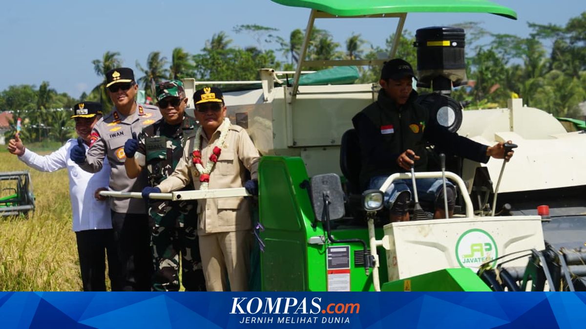 Panen Raya 25.817 Hektare, Gubernur Agustiar Sabran Tegaskan Komitmen Perkuat Ketahanan Pangan