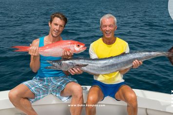 3 Jenis Ikan Laut Konsumsi Populer dan Cara Budi Dayanya