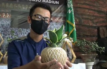 Kisah Anak Buruh Raup Untung Jutaan Rupiah dari Kokedama, Modalnya ...
