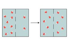 Mengapa Osmosis Disebut Difusi Air?