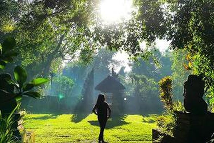 Wisata Gajah Taro atau Elephant Safari Park, Desa Taro, Kecamatan Tegallalang, Kabupaten Gianyar, Bali.