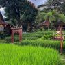 Tips Berkunjung ke Sawah Segar Sentul Bogor, Naik Kendaraan Pribadi
