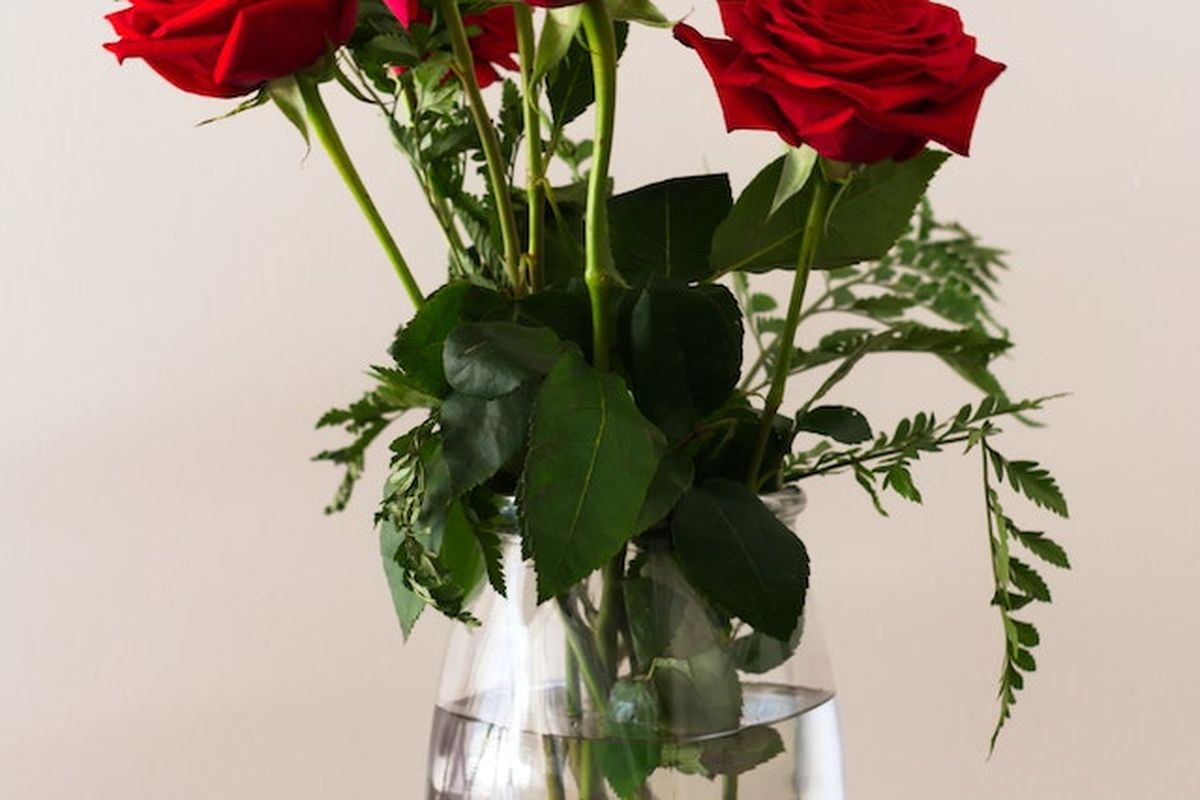 Ilustrasi pasca panen bunga mawar