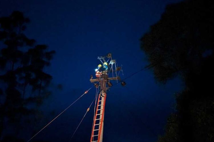 Petugas PLN tengah memperbaiki tiang listrik yang tumbang tertimpa pohon akibat hujan deras disertai angin yang terjadi Kecamatan Rancabali, Kabupaten Bandung, Jawa Barat pada Sabtu (9/3/2024)