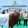 Wapres Gibran Salurkan Sapi Kurban 916 Kilogram Lewat BAZNAS RI