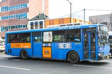Ragam Alternatif Transportasi di Seoul