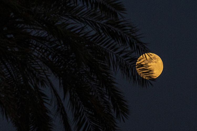 La aparición de la luna llena de fresa durante el eclipse lunar de Penumbra se puede ver en el cielo nocturno del viernes (6/5/2020) en la ciudad portuaria de Basora, Irak.  Dos fenómenos celestes que rara vez se asocian en Europa, África, Asia, Australia, el Océano Índico y Australia son la luna fresa y el eclipse lunar penumbra.
