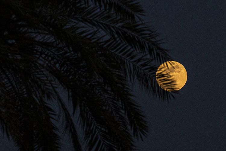 Penampakan bulan purnama Strawberry Moon saat berlangsung gerhana bulan penumbra, terlihat di atas langit Kota Pelabuhan Basra, Irak, Jumat (5/6/2020) malam. Dua fenomena langit, bulan purnama strawberry dan gerhana bulan penumbra, yang jarang terjadi bersamaan ini bisa terlihat di sebagian besar Eropa, Afrika, Asia, Australia, Samudera Hindia, dan Australia.