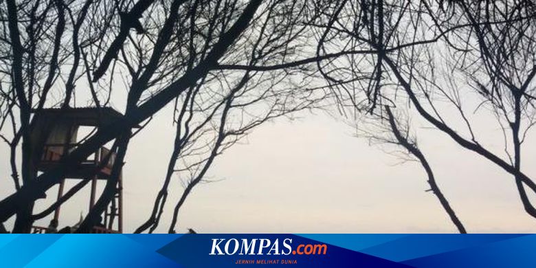 Wisata Milik Pemkab Bantul Masih Tutup Akhir Pekan 26-27 Juni 2021, Jangan Kecele… - Vimarsana News