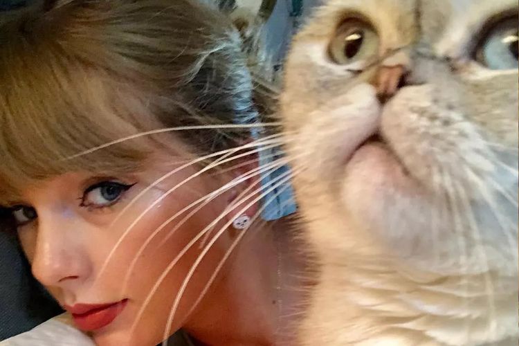 Penyanyi Taylor Swift dengan salah satu kucing kesayangannya yang bernama olivia Benson. 