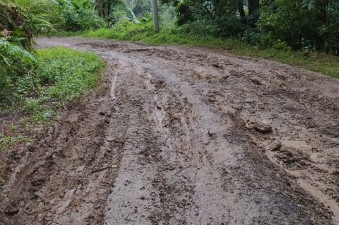 Perjuangan Siswa SD Bulukumba Menuju Sekolah, Lewati Jalan Hancur dan Kedinginan karena Baju Basah