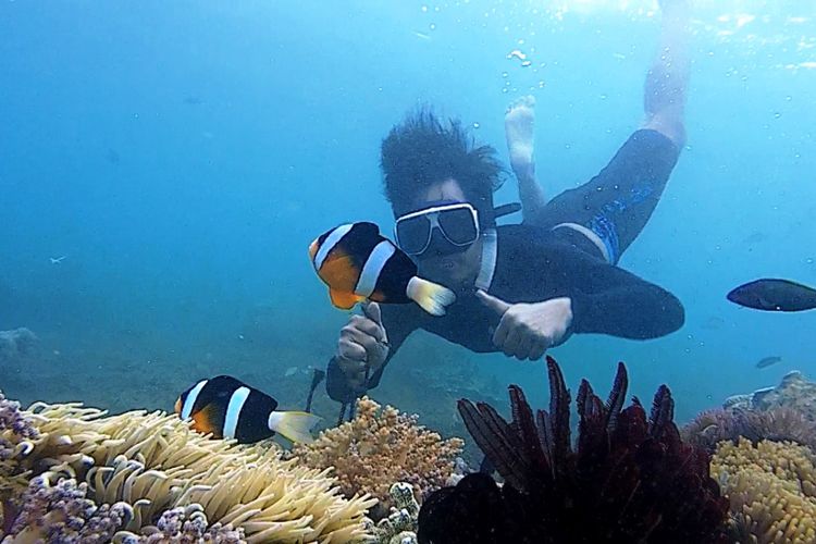 Wisatawa bawah air Bangsring Underwater, di Desa Bangsring, Kecamtan Wongsorejo, Banyuwangi.