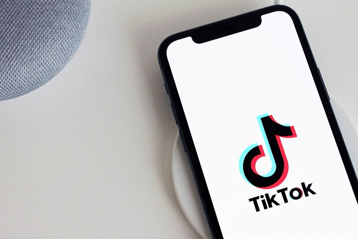 Tercatat, sudah belasan negara yang melarang penggunaan TikTok.