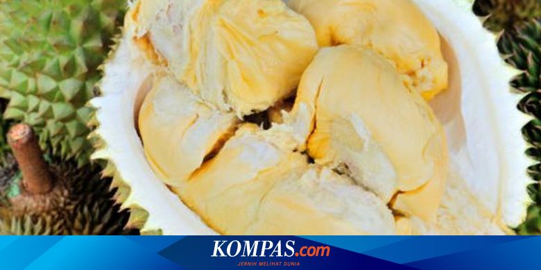 Benarkah Minum Kopi Setelah Makan Durian Sebabkan Kematian Halaman All Kompas Com