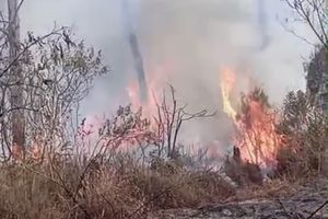 Sempat Padam, Karhutla Kembali Muncul di Lereng Gunung Buthak dan Kawinajang