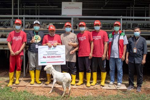 Tingkatkan Produksi Peternakan, Dompet Dhuafa dan MTT Telkomsel Sumbangteng Berkolaborasi