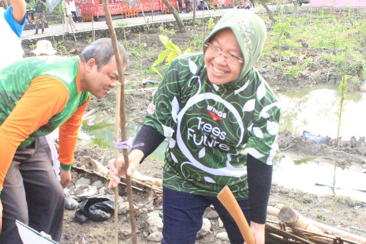 Risma menanam pohon di hutan kota Lontar Surabaya, Kamis (1/2/2018).